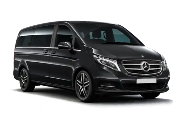 Mini Van 8